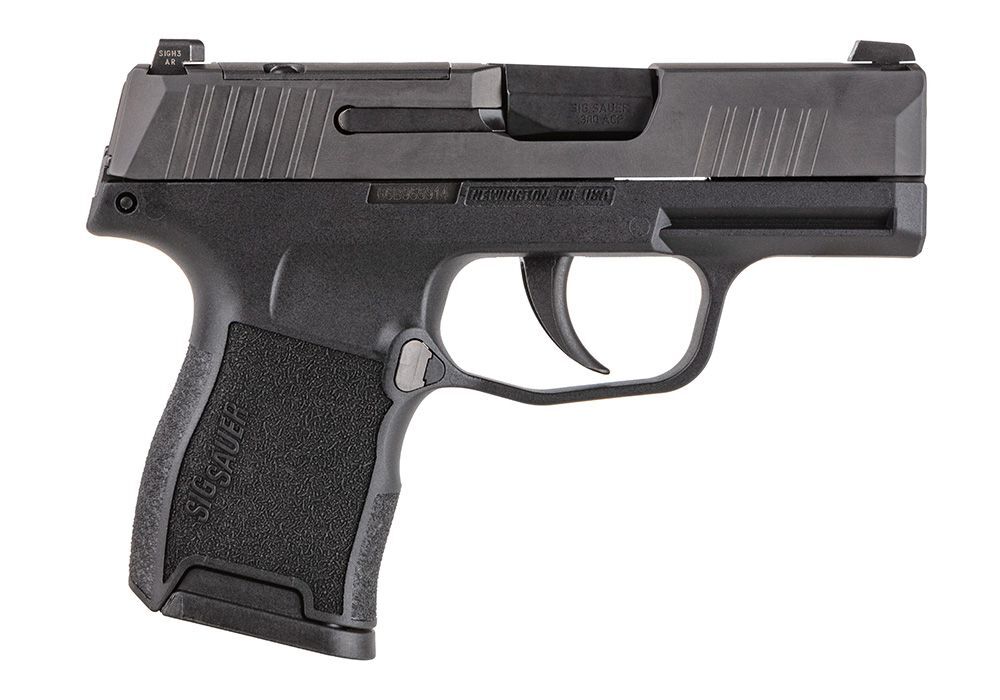 Sig Sauer P365-380 .380 AUTO Pistol, 10-Rd