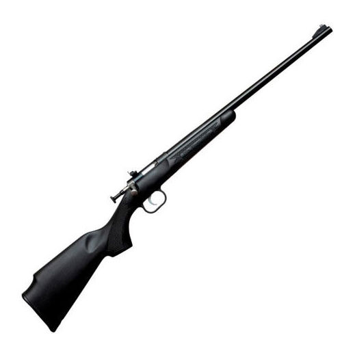 Keystone Crickett Black Synthetic “My First Rifle” .22 LR 16.1