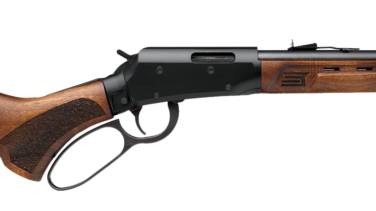 Savage Arms Black Revel DLX 22 LR 18-In Rifle, 12-Rd