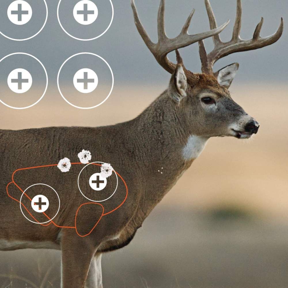 EZ Aim Multi-Color Splash Reactive Paper Shooting Targets, Whitetail Target, 24 X 13-In, 3-Pk