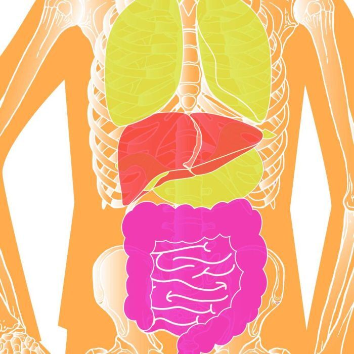 Allen EZ Aim Fun Imposing Figures Paper Shooting Target Assortment, 12 x 18-In, 8-Pk