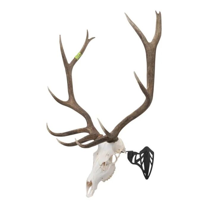 Allen Company EZ Mount Black Magnum Skull Hanger