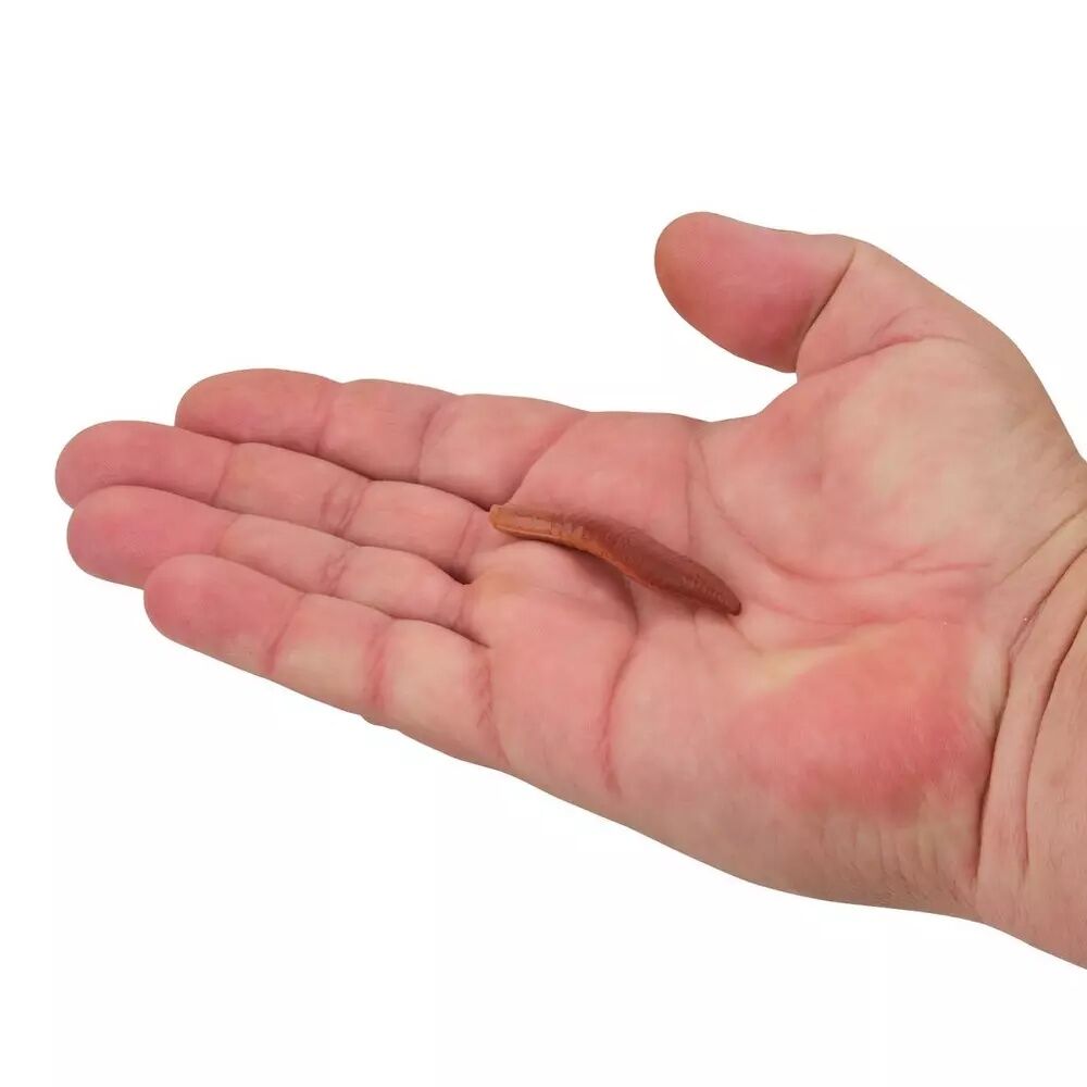 Berkley Gulp With Garlic Floating Pinched Crawler Nightcrawler, 2-In, 6-Ct