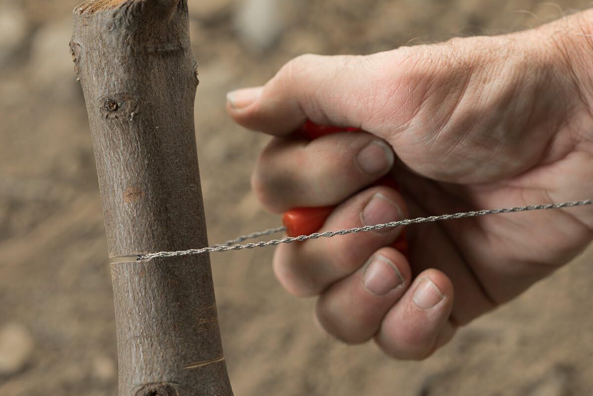 Sona Enterprises Survivor Series Stainless Steel Wire Saw, 24-In