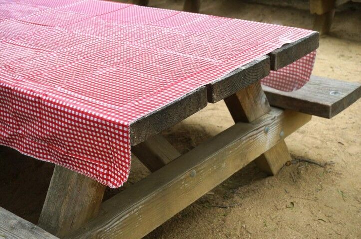 Sona Enterprises Heavy Duty Checkered Vinyl Tablecloth, 54-In x 72-In