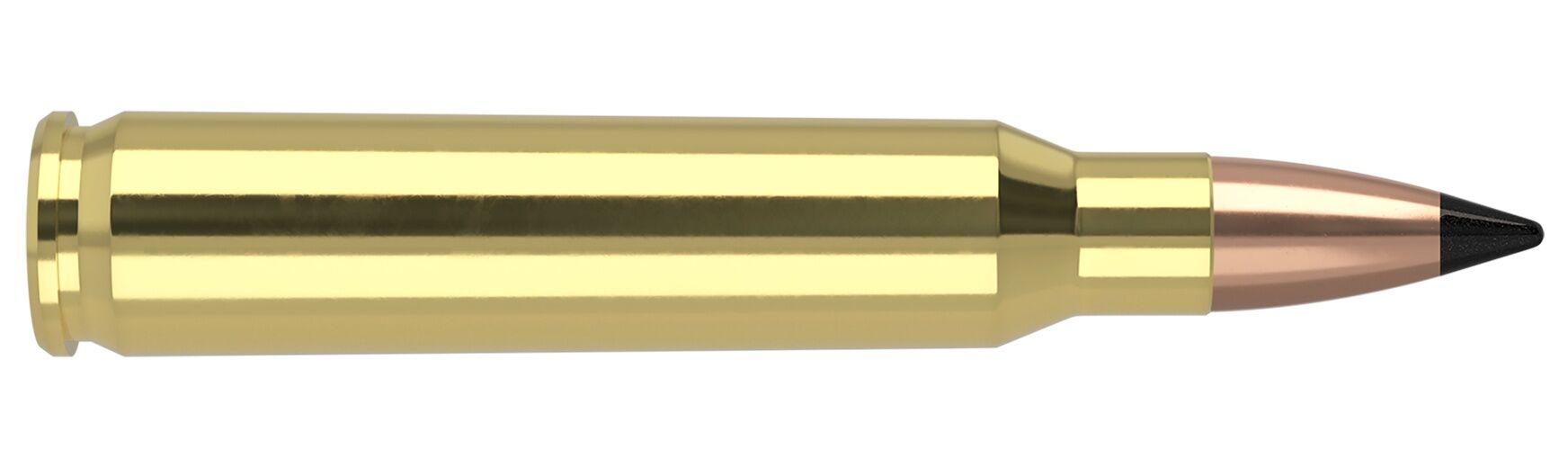 Nosler Varmageddon .223 Rem, 55 Grain FB Tipped Rifle Ammo, 20-Rd