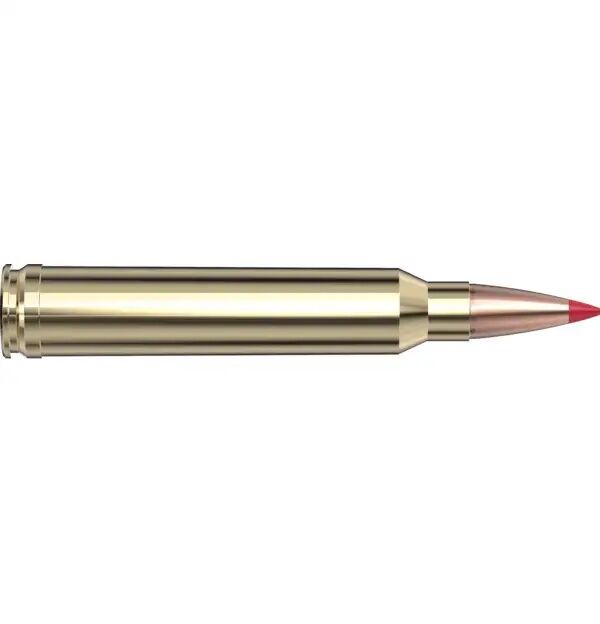 Hornady Precision Hunter .300 Win Mag, 178 Grain ELD-X Rifle Ammo, 20-Rd