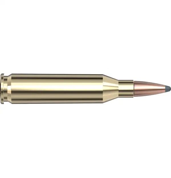 Hornady American Whitetail .243 Win, 100 Grain InterLock BTSP Rifle Ammo, 20-Rd