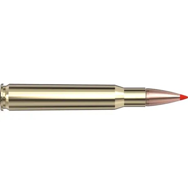 Hornady Superformance .30-06 Springfield, 165 Grain SST Rifle Ammo, 20-Rd