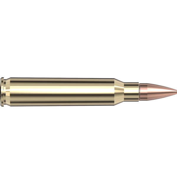 Hornady Frontier 5.56 NATO, 75 Grain Boat Tail Hollow Point Match T2 Rifle Ammo, 20-Rd