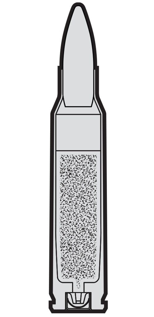 Winchester Target & Practice 5.56 NATO, 55 Grain Full Metal Jacket Rifle Ammo, 500-Rd