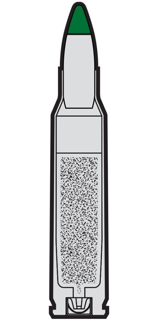 Winchester Target & Practice 5.56 NATO, 62 Grain Green Tip Full Metal Jacket Rifle Ammo, 200-Rd