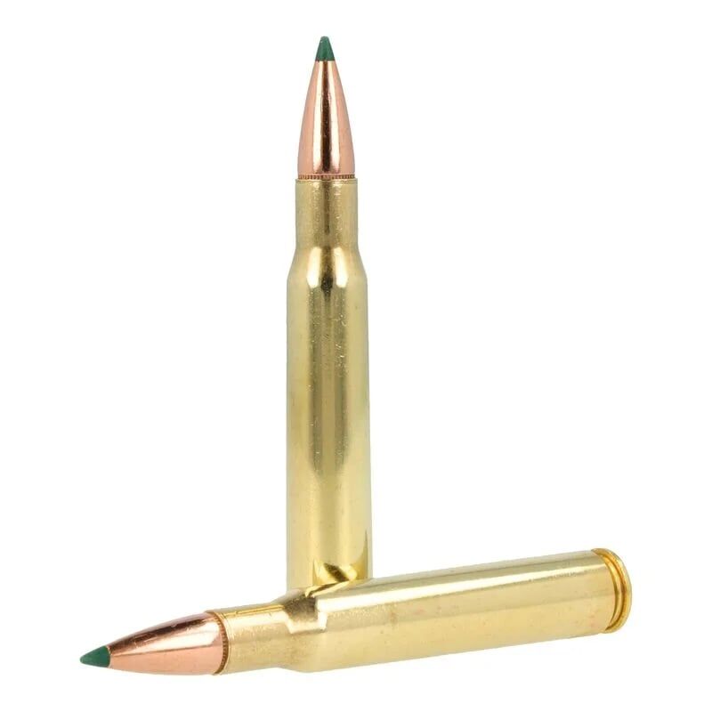 Remington Core-Lokt Tipped .30-06 Springfield, 165 Grain Rifle Ammo, 20-Rd