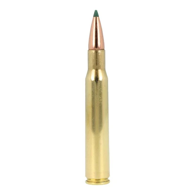 Remington Core-Lokt Tipped .30-06 Springfield, 165 Grain Rifle Ammo, 20-Rd