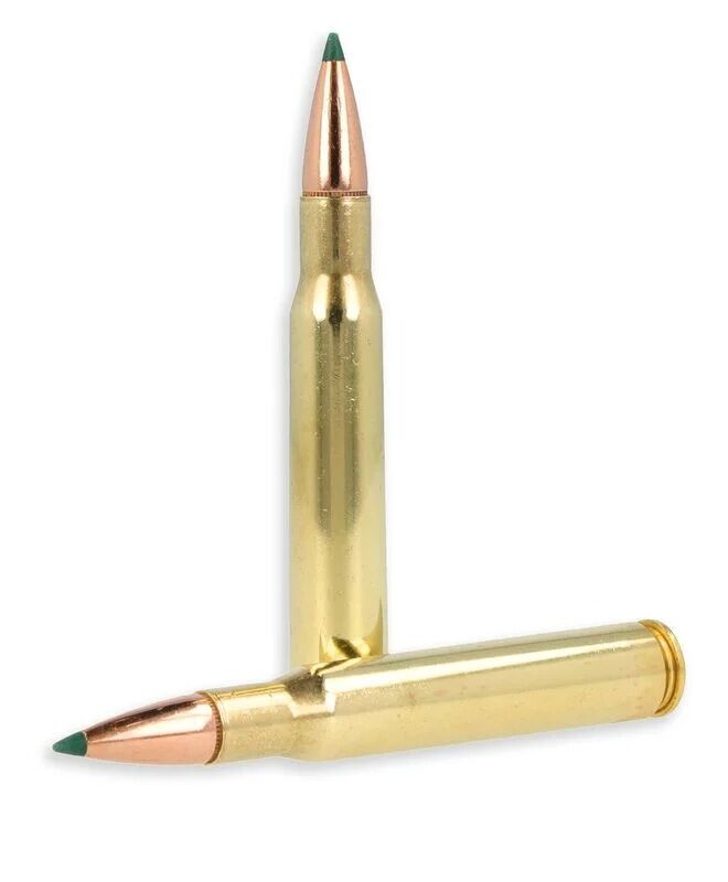 Remington Core-Lokt Tipped .30-06 Springfield, 180 Grain Rifle Ammo, 20-Rd