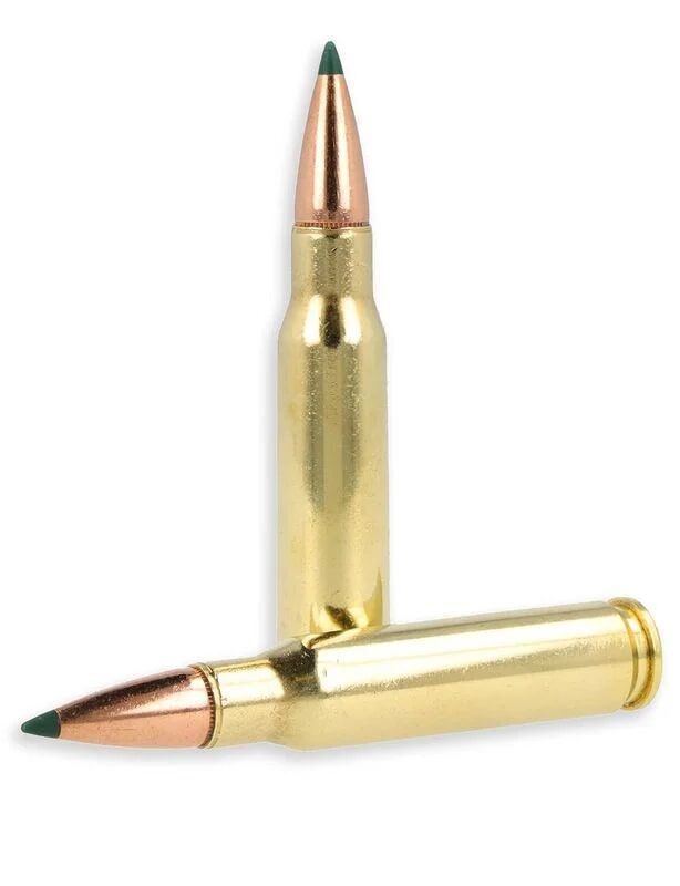 Remington Core-Lokt Tipped .308 Win, 150 Grain Rifle Ammo, 20-Rd
