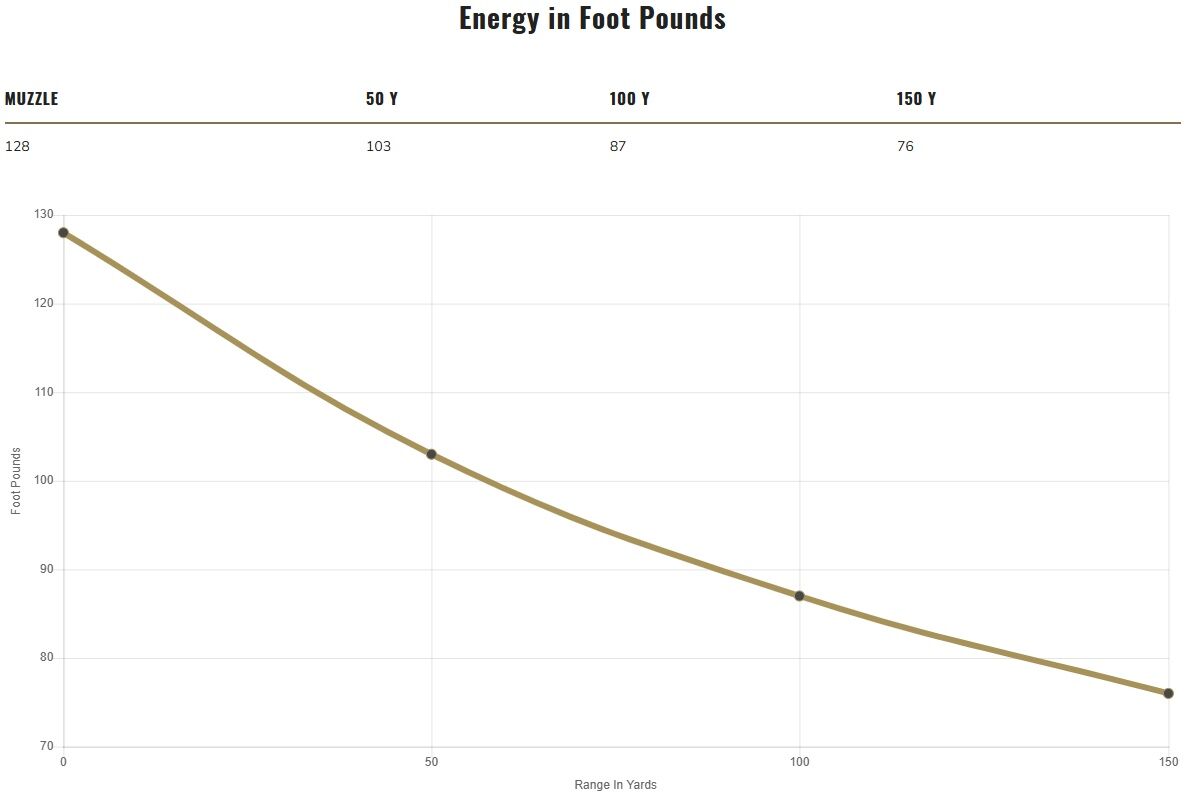 Federal Champion Training Rimfire .22 LR, 40 Grain Lead Round Nose Rifle Ammo, 800-Rd