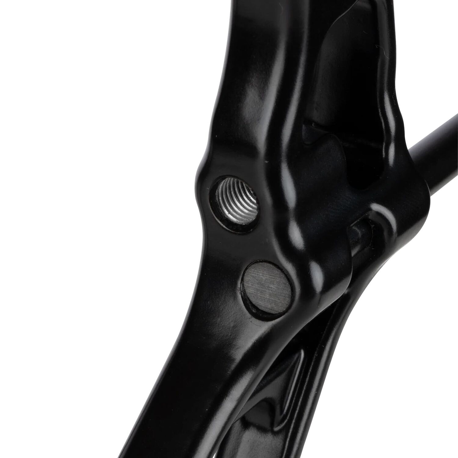 Bear Archery Youth Pathfinder Compound Bow