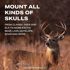 Mountain Mike's Reproductions Ultra Positioner Adjustable Skull Wall Mount