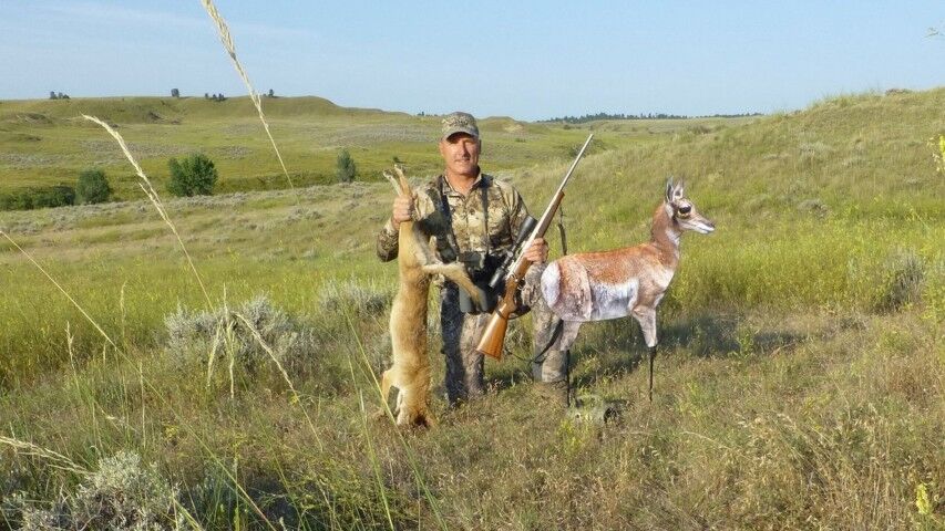 Montana Decoy Antelope Fawn Predator Decoy