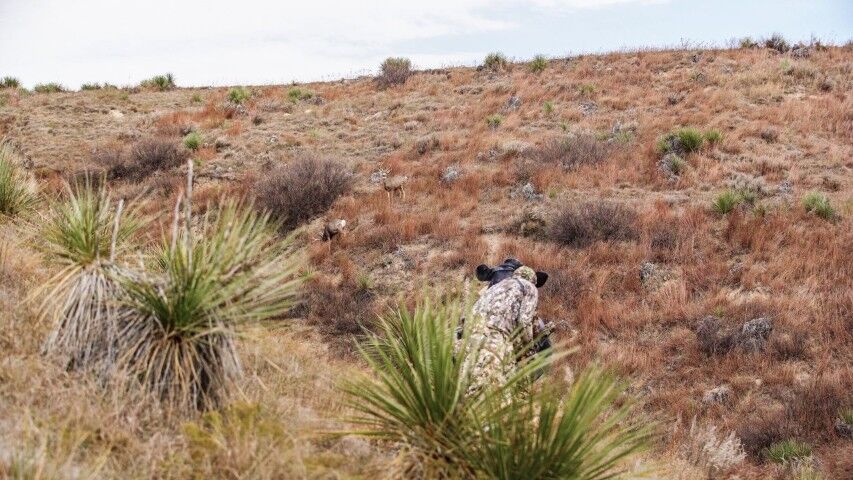 Montana Decoy Co. Bessie Moo Cow
