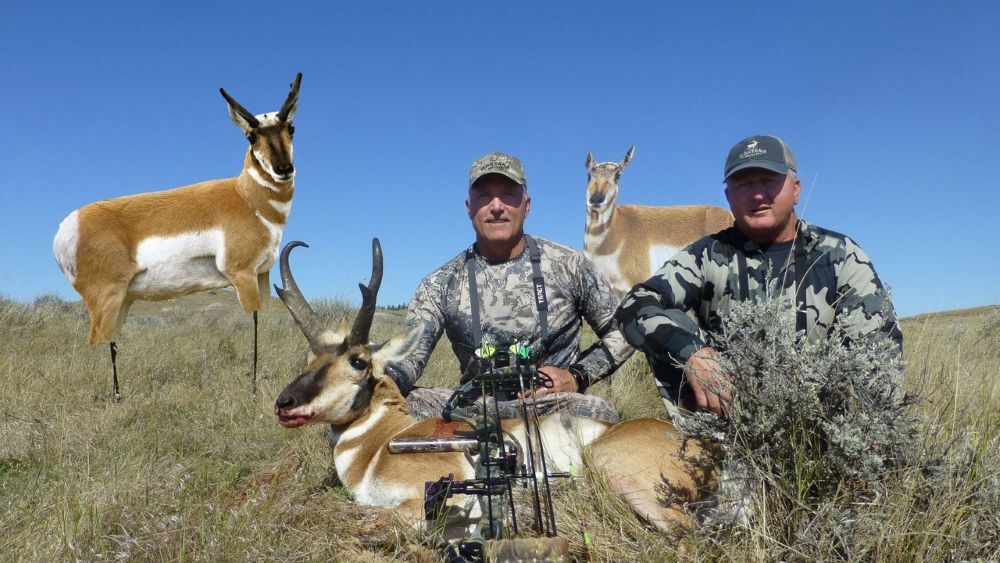 Montana Decoy Antelope Combo Buck & Doe Decoys