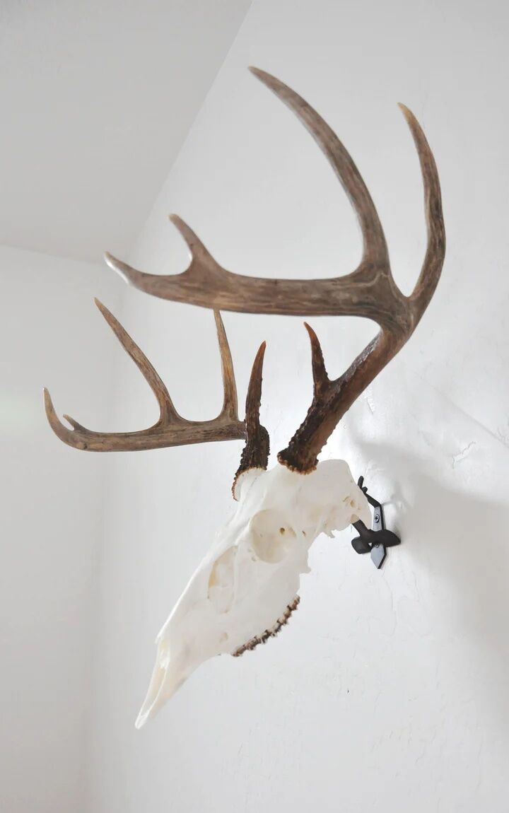 Dead On Display Angle Skull Mount Bracket Adapter