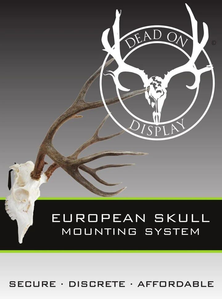 Dead On Display Medium European Hanger Mount