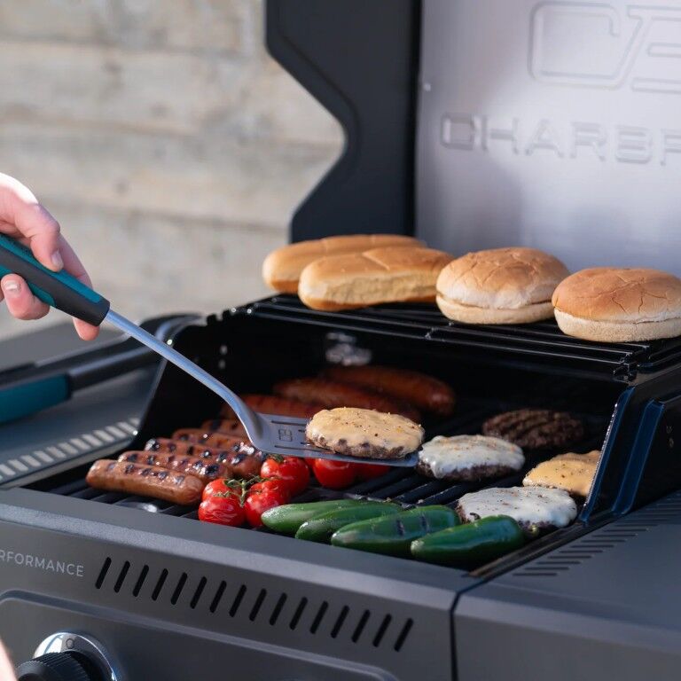Charbroil Grey Stainless Performance Series FlavorMax 2 Burner Gas Grill with Foldable Side Shelves
