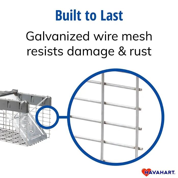 Havahart Small 1-Door Live Animal Trap