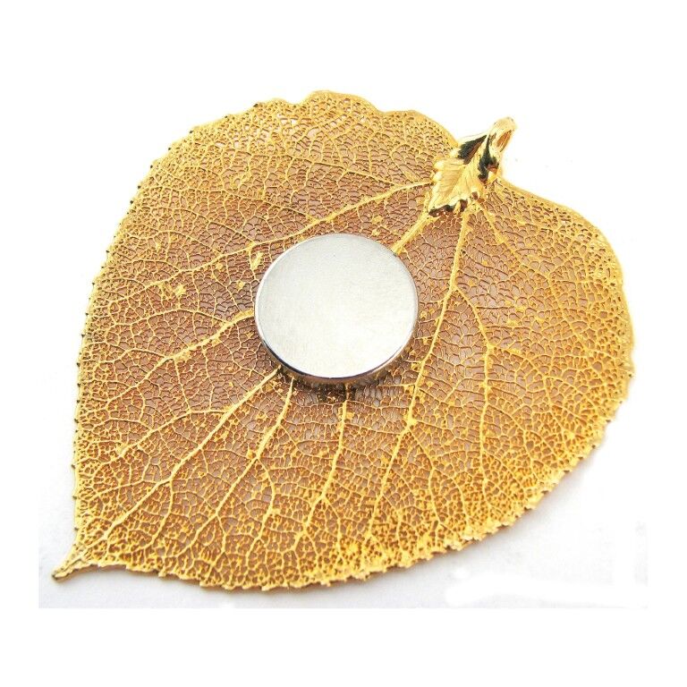 Magnet Source Neodymium Disc Magnets, 3-Pk