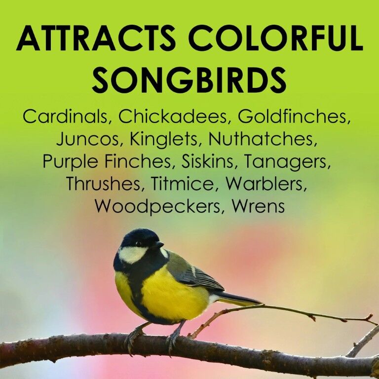 Heath Hot Pepper Squirrel-Resistant Suet Cake, 11.25-Oz