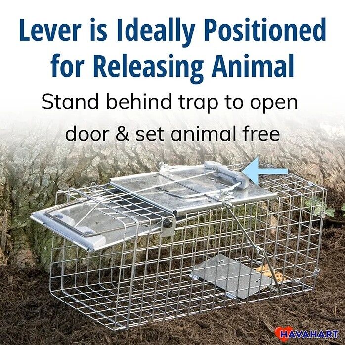 Havahart Easy Set Small 1-Door Animal Trap