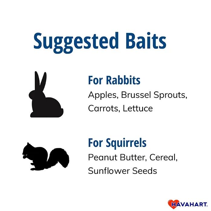 Havahart Easy Set Small 1-Door Animal Trap