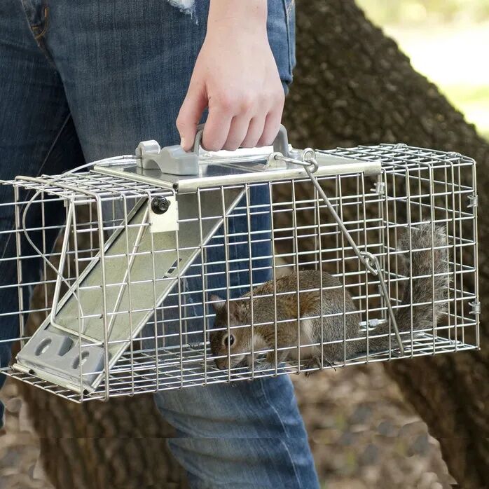 Havahart Easy Set Small 1-Door Animal Trap