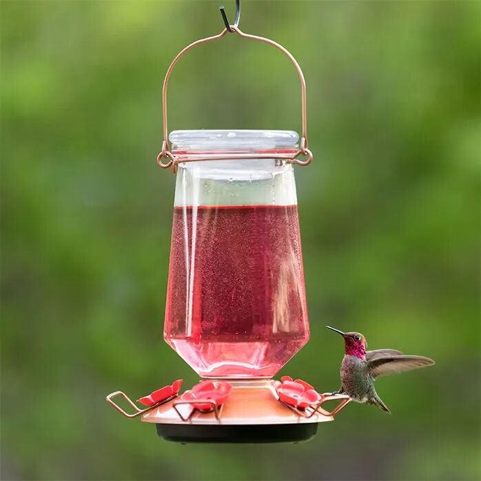 Perky-Pet Ready-To-Use Red Hummingbird Nectar, 16-Oz, 4-Pk