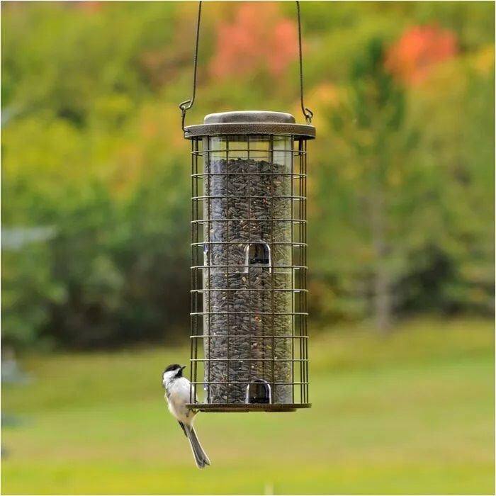 Perky-Pet Squirrel Stumper Wild Bird Feeder