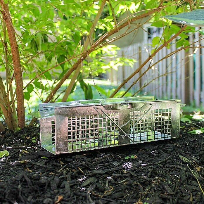 Havahart Live Animal Cage Trap