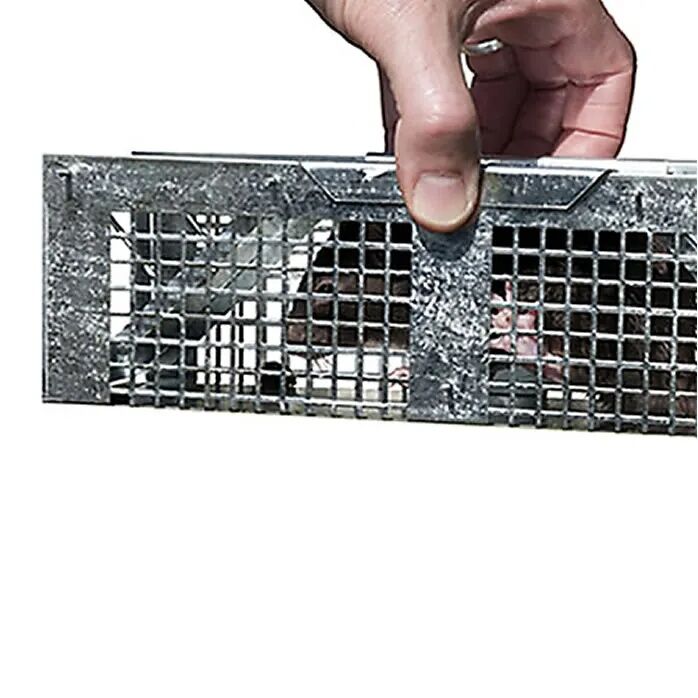 Havahart Live Animal Cage Trap