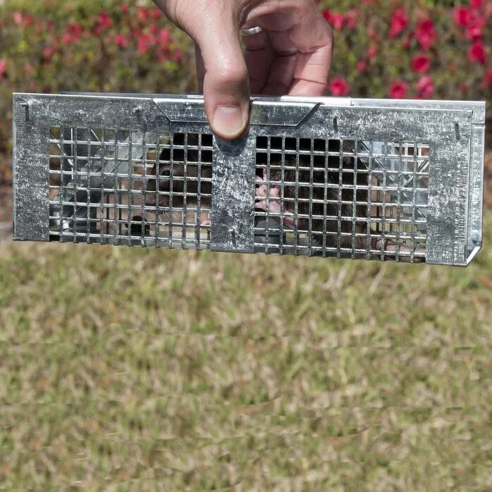 Havahart Live Animal Cage Trap
