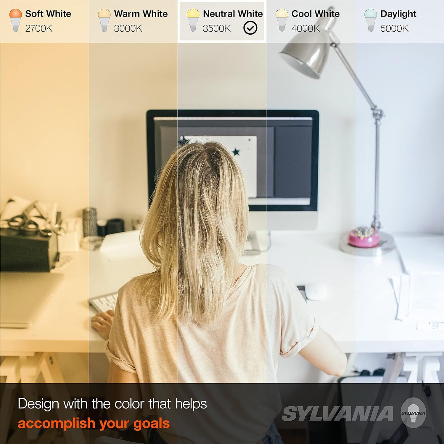 Sylvania A19 14 Watt Frosted Bright White LED Light Bulb, 4-Pk