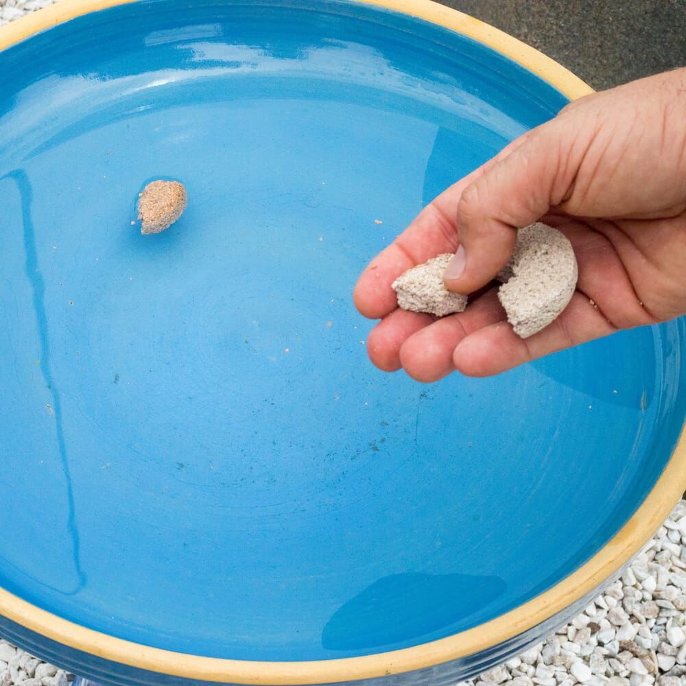 Summit Mosquito Dunks, 2-Pk