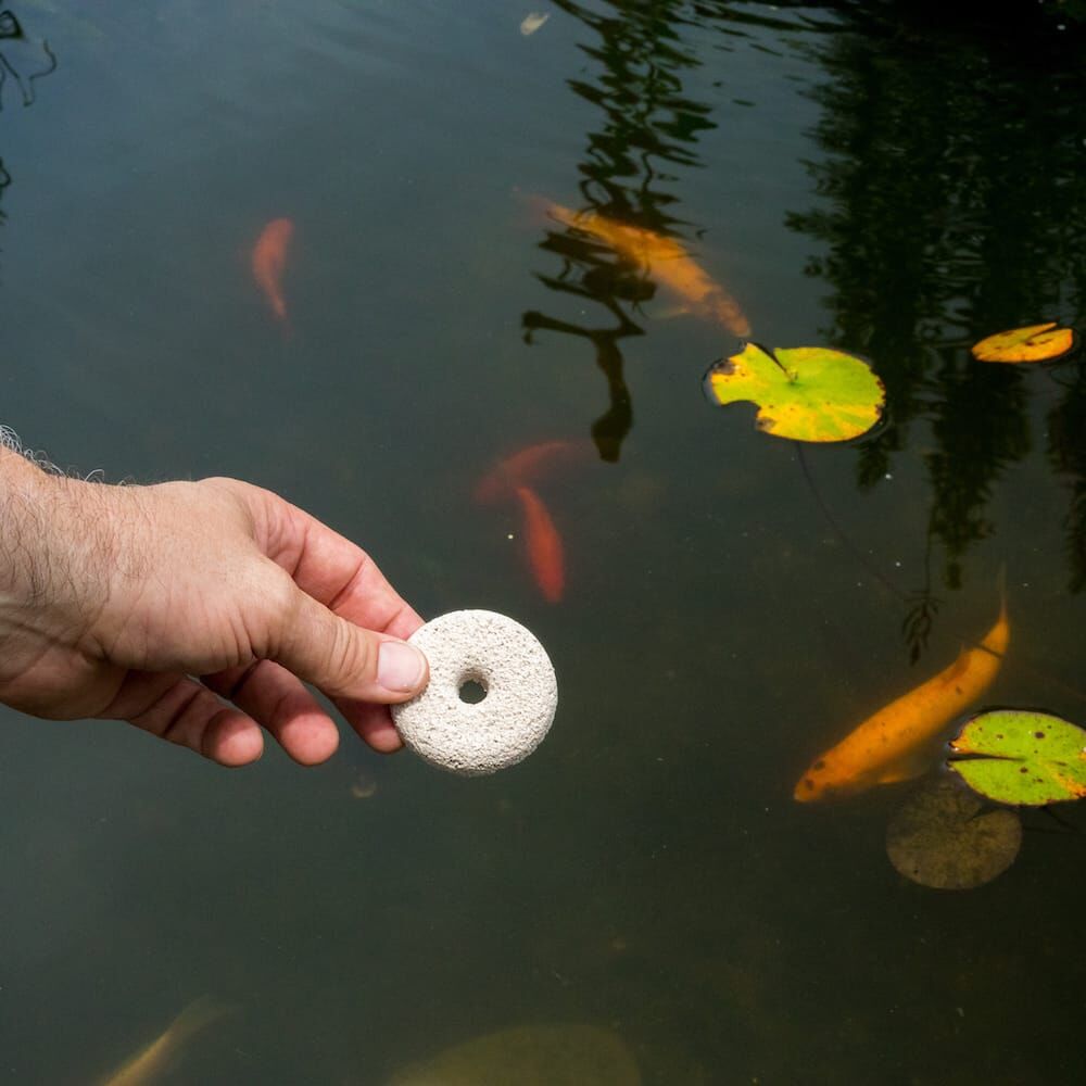 Summit Mosquito Dunks, 2-Pk