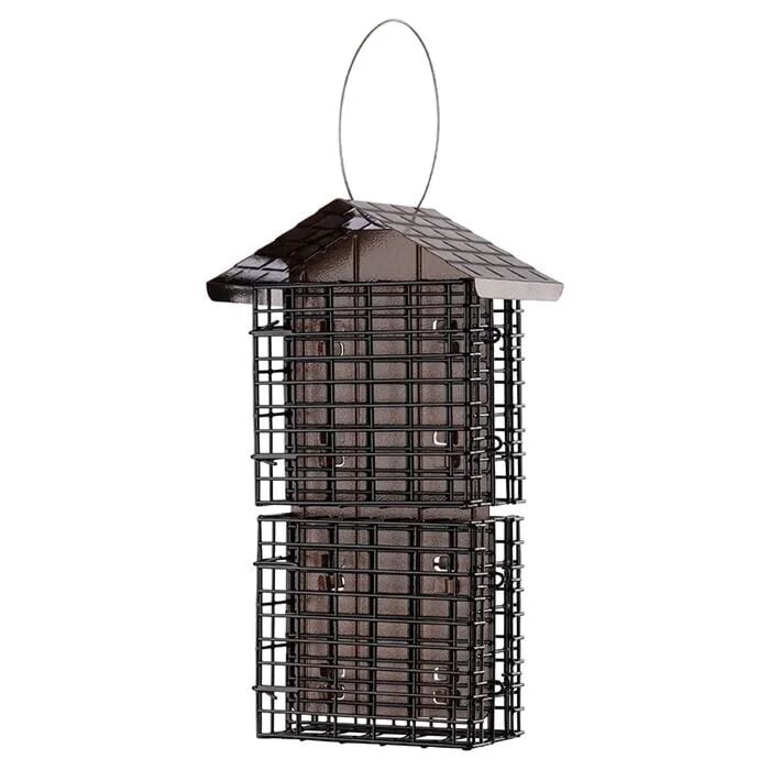 More Birds Four Cake Suet Buffet Bird Feeder With Weather Guard