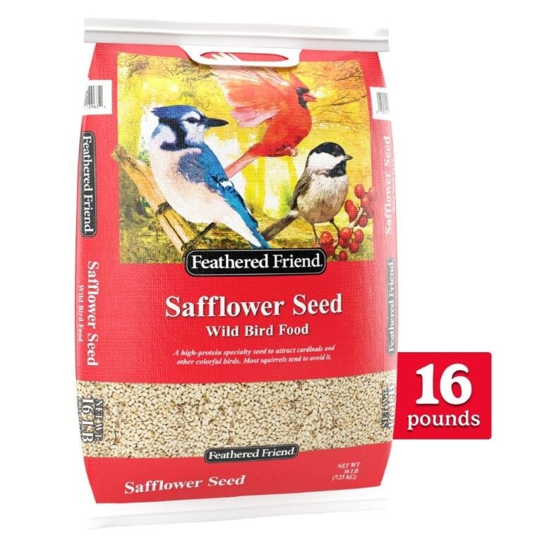 Feathered Friend Safflower Wild Bird Food, 16 lbs.