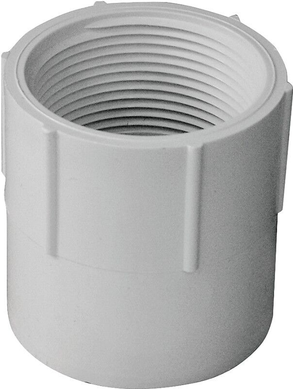 IPEX Schedule 40 PVC Pipe Adapter, 1 1/2-In Socket x 1 1/2-In FPT