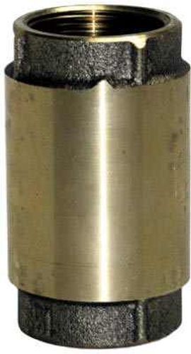 Ashcroft Check Valve - Brass, 1 in