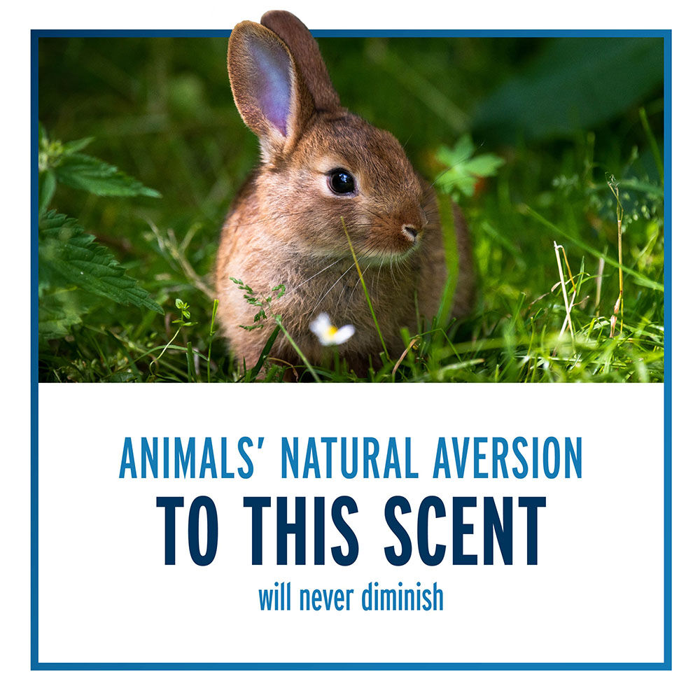 Liquid Fence Deer & Rabbit Repellent Concentrate2, 40-Oz