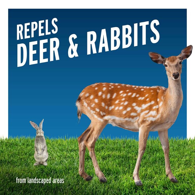 Liquid Fence Deer & Rabbit Repellent Concentrate2, 40-Oz