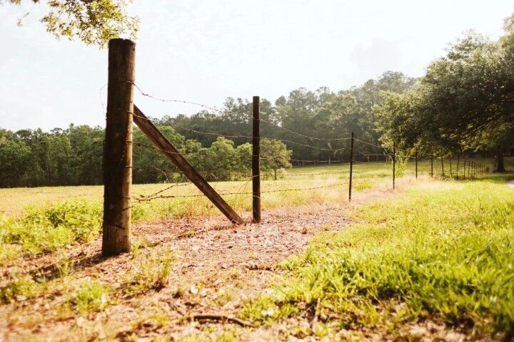 RM43 Total Vegetation Control Weed Killer, 1-Gal